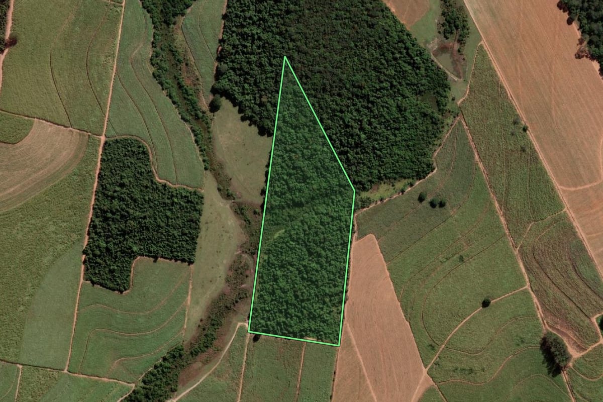 Imagem de satélite do imóvel rural em Alto Alegre (SP), com o contorno declarado no CAR desenhado por cima.