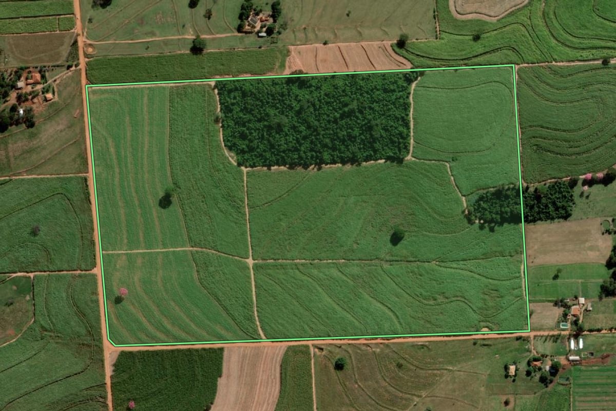 Imagem de satélite do imóvel rural em Alto Alegre (SP), com o contorno declarado no CAR desenhado por cima.