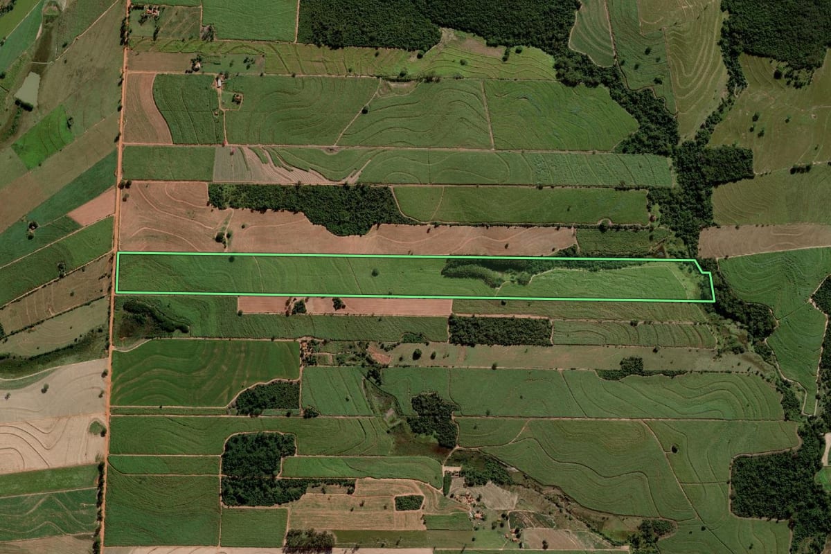 Imagem de satélite do imóvel rural em Alto Alegre (SP), com o contorno declarado no CAR desenhado por cima.