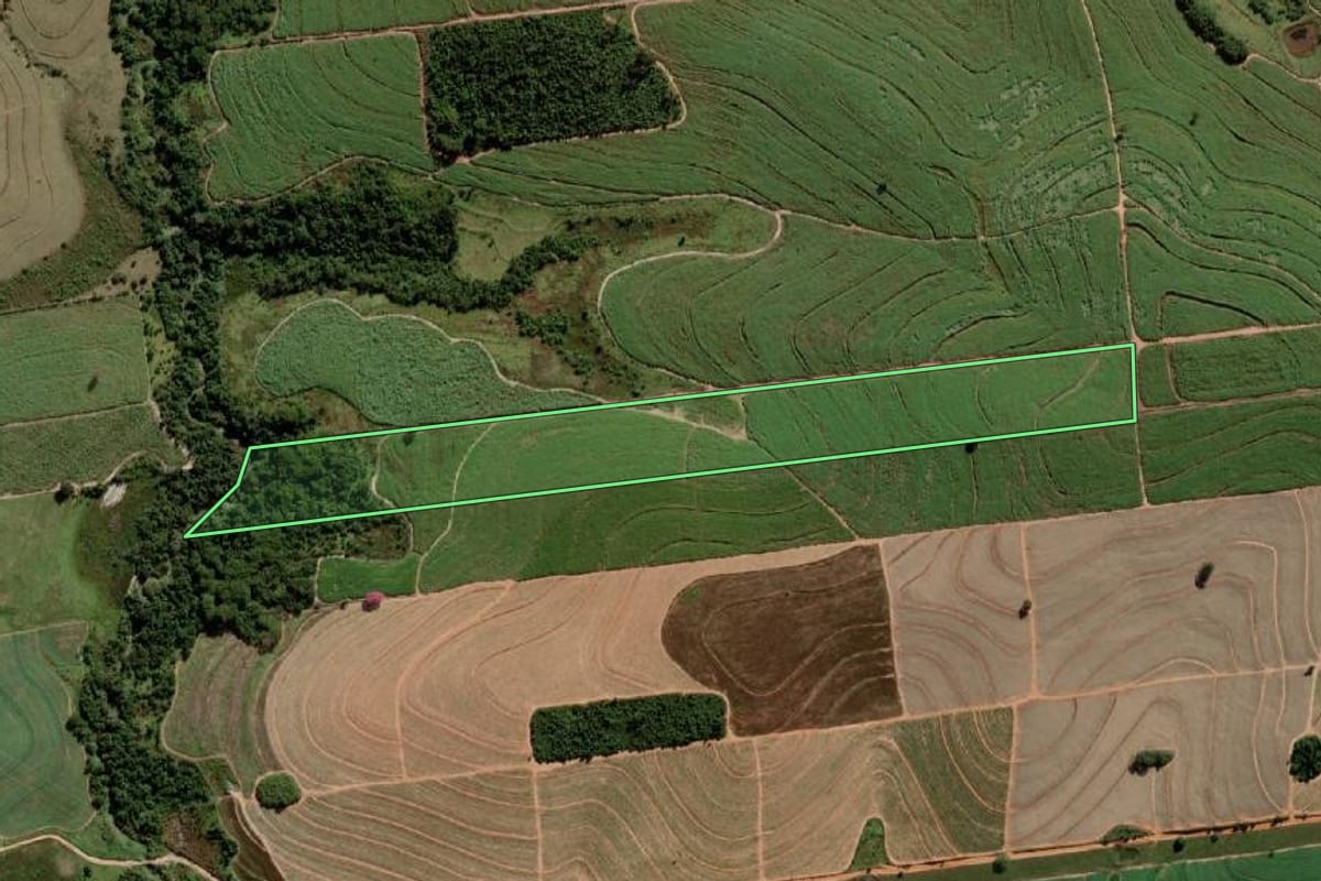 Imagem de satélite do imóvel rural em Alto Alegre (SP), com o contorno declarado no CAR desenhado por cima.
