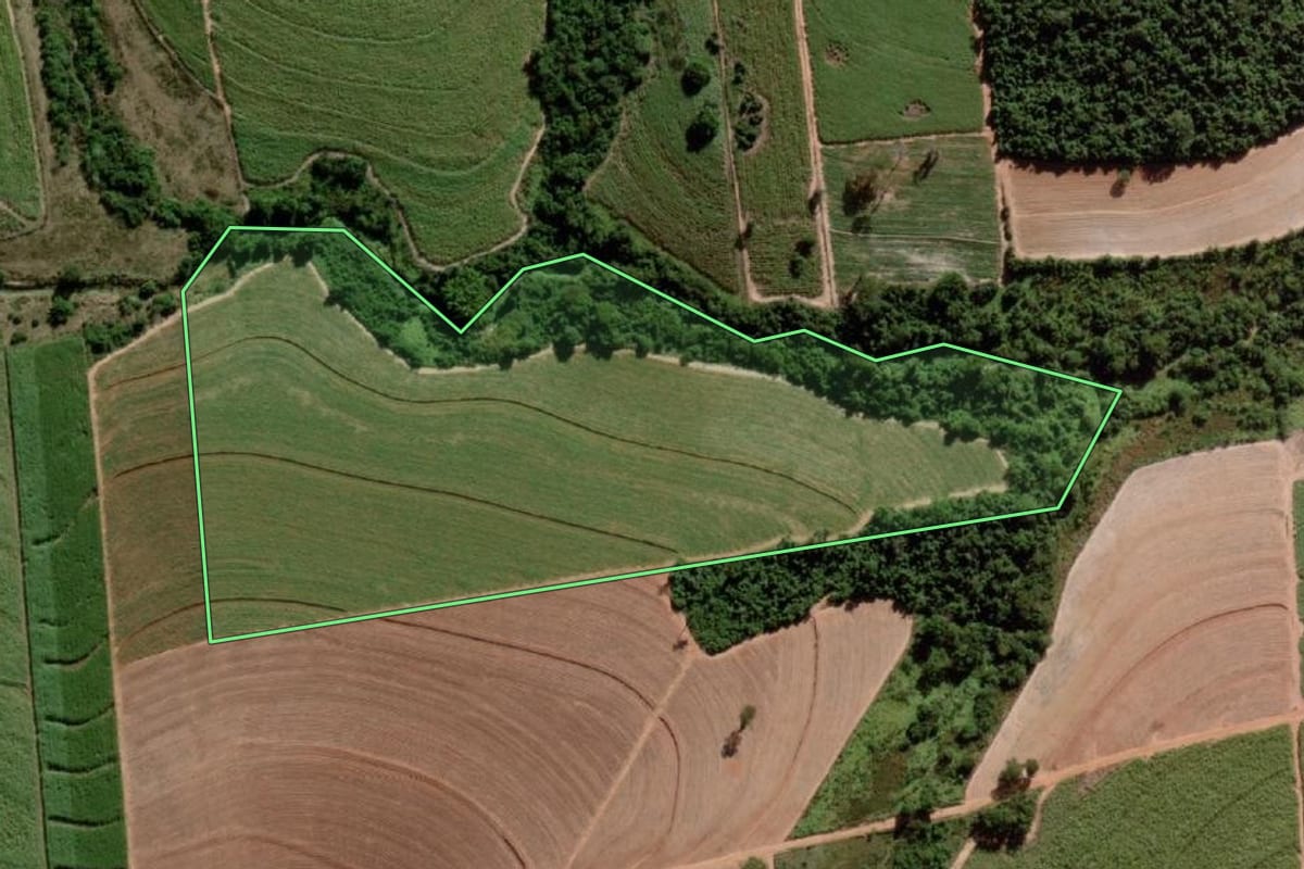 Imagem de satélite do imóvel rural em Alto Alegre (SP), com o contorno declarado no CAR desenhado por cima.