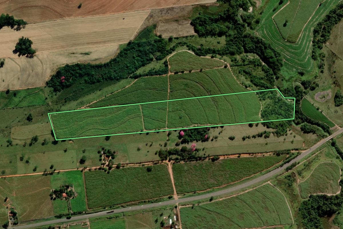 Imagem de satélite do imóvel rural em Alto Alegre (SP), com o contorno declarado no CAR desenhado por cima.