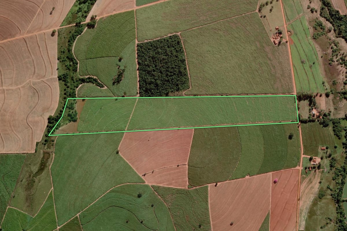Imagem de satélite do imóvel rural em Alto Alegre (SP), com o contorno declarado no CAR desenhado por cima.