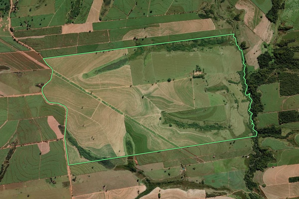 Imagem de satélite do imóvel rural em Alto Alegre (SP), com o contorno declarado no CAR desenhado por cima.