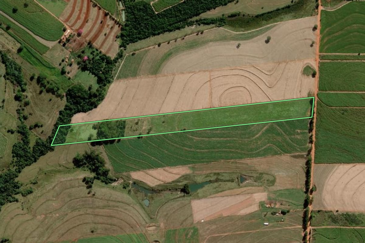 Imagem de satélite do imóvel rural em Alto Alegre (SP), com o contorno declarado no CAR desenhado por cima.