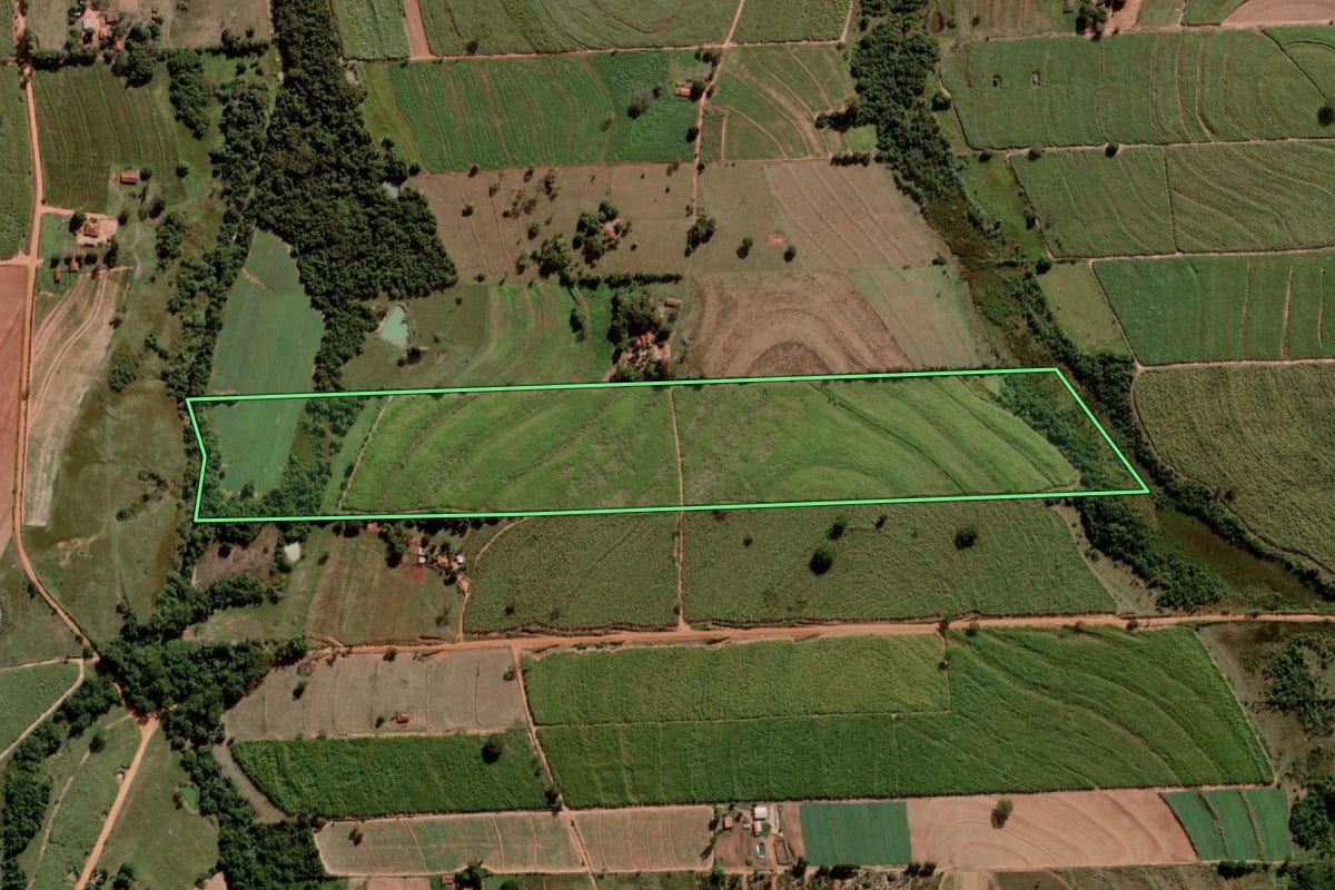 Imagem de satélite do imóvel rural em Alto Alegre (SP), com o contorno declarado no CAR desenhado por cima.
