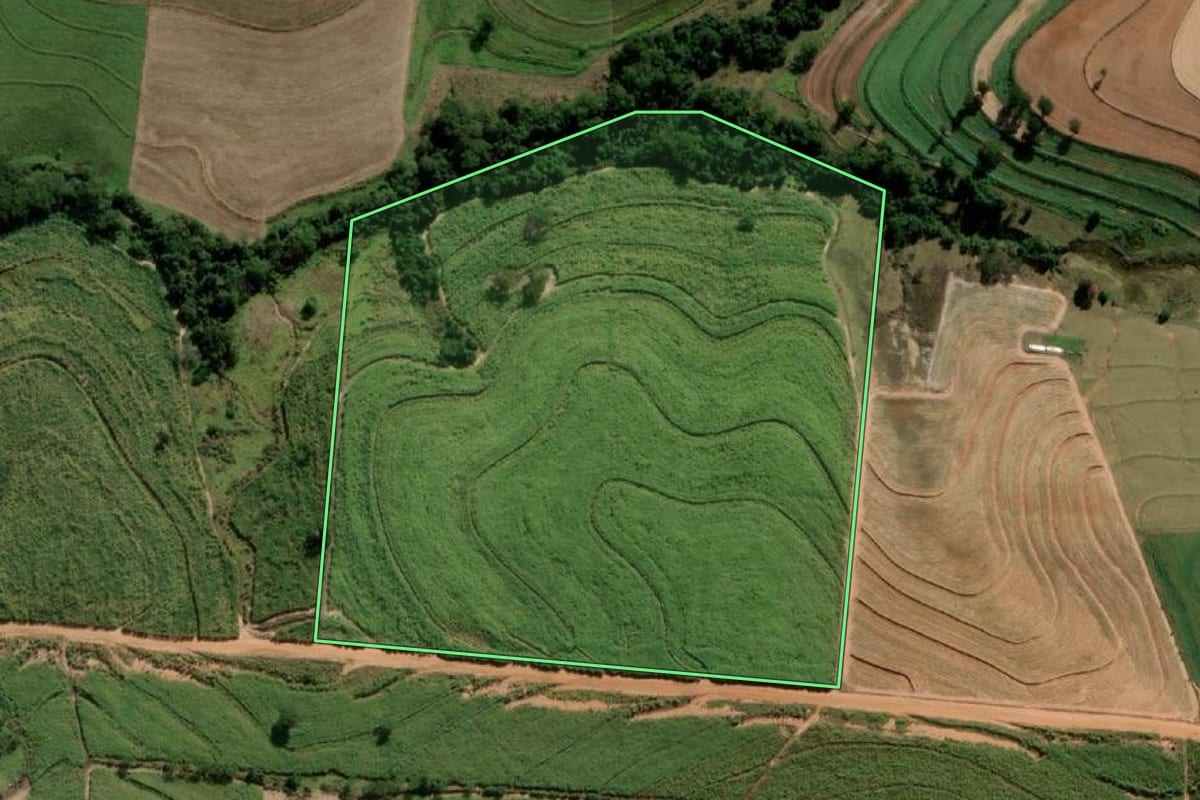 Imagem de satélite do imóvel rural em Alto Alegre (SP), com o contorno declarado no CAR desenhado por cima.