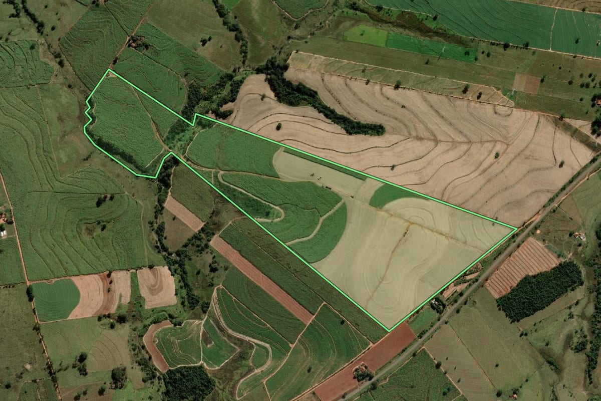 Imagem de satélite do imóvel rural em Alto Alegre (SP), com o contorno declarado no CAR desenhado por cima.