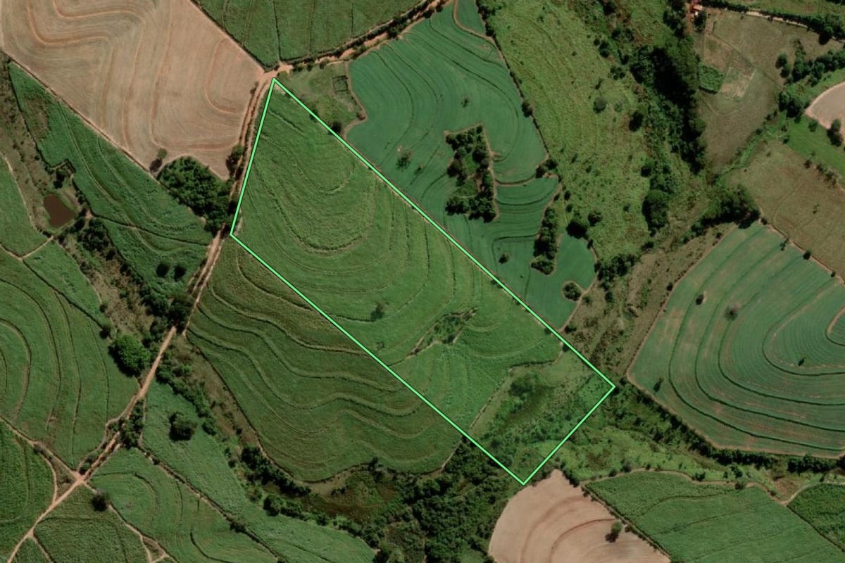 Imagem de satélite do imóvel rural em Alto Alegre (SP), com o contorno declarado no CAR desenhado por cima.