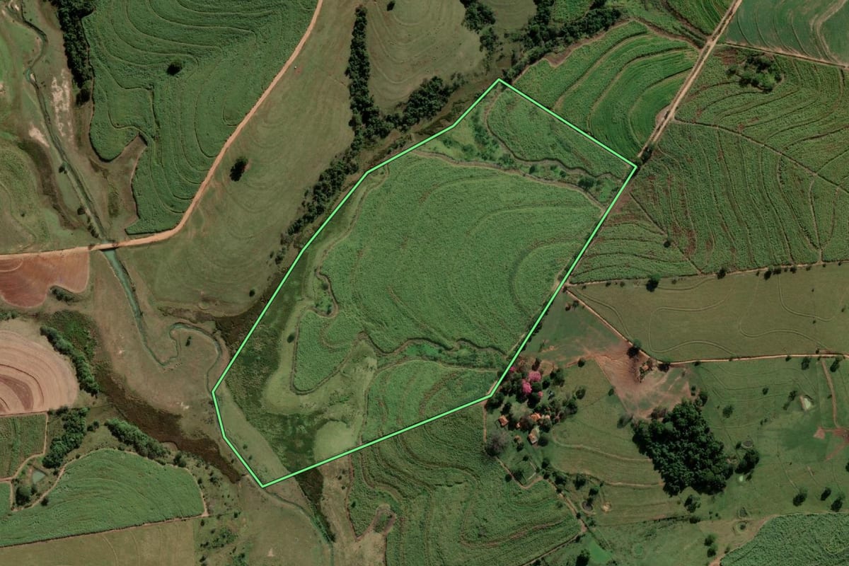 Imagem de satélite do imóvel rural em Alto Alegre (SP), com o contorno declarado no CAR desenhado por cima.