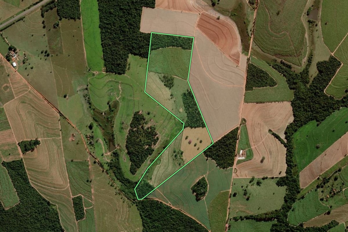 Imagem de satélite do imóvel rural em Alto Alegre (SP), com o contorno declarado no CAR desenhado por cima.