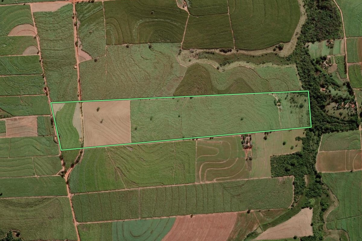 Imagem de satélite do imóvel rural em Alto Alegre (SP), com o contorno declarado no CAR desenhado por cima.