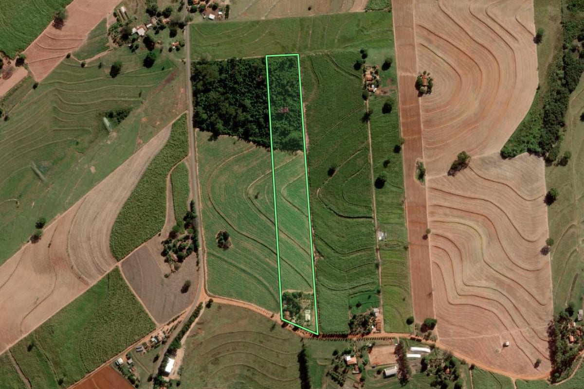 Imagem de satélite do imóvel rural em Alto Alegre (SP), com o contorno declarado no CAR desenhado por cima.
