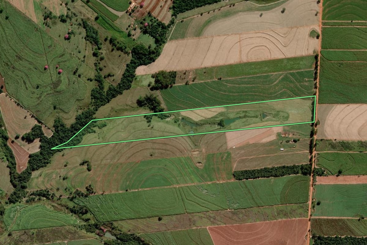 Imagem de satélite do imóvel rural em Alto Alegre (SP), com o contorno declarado no CAR desenhado por cima.