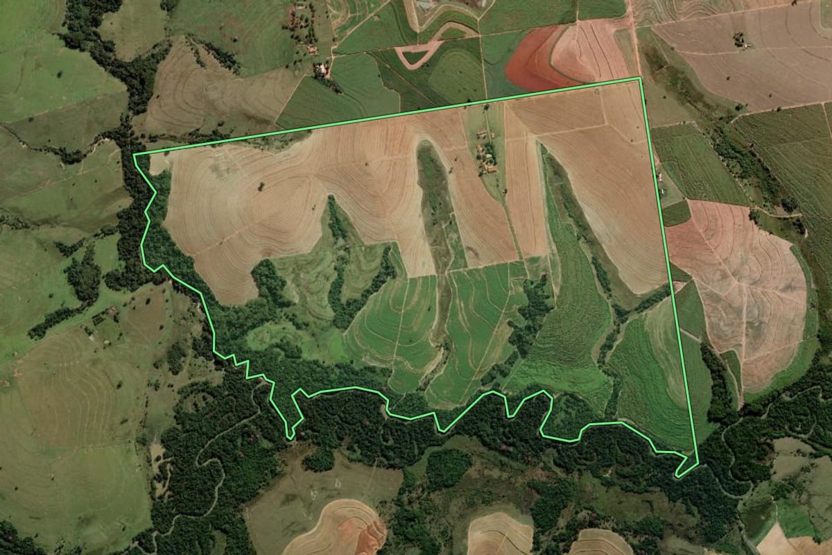 Imagem de satélite do imóvel rural em Alto Alegre (SP), com o contorno declarado no CAR desenhado por cima.