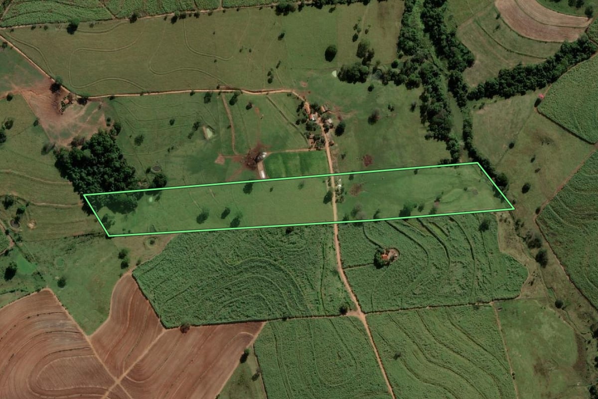 Imagem de satélite do imóvel rural em Alto Alegre (SP), com o contorno declarado no CAR desenhado por cima.