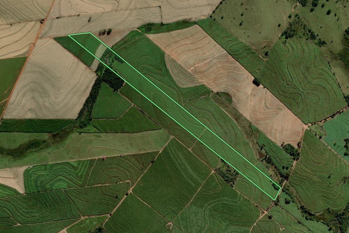 Imagem de satélite do imóvel rural em Alto Alegre (SP), com o contorno declarado no CAR desenhado por cima.