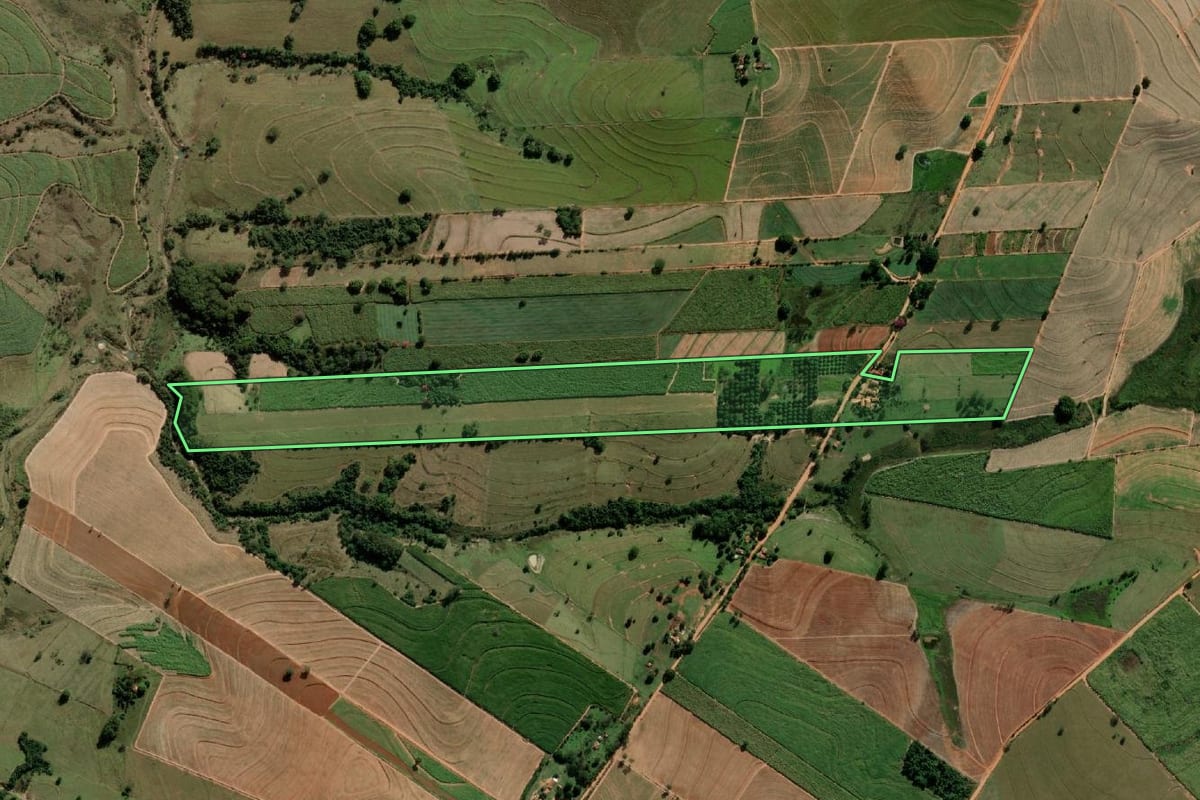 Imagem de satélite do imóvel rural em Alto Alegre (SP), com o contorno declarado no CAR desenhado por cima.