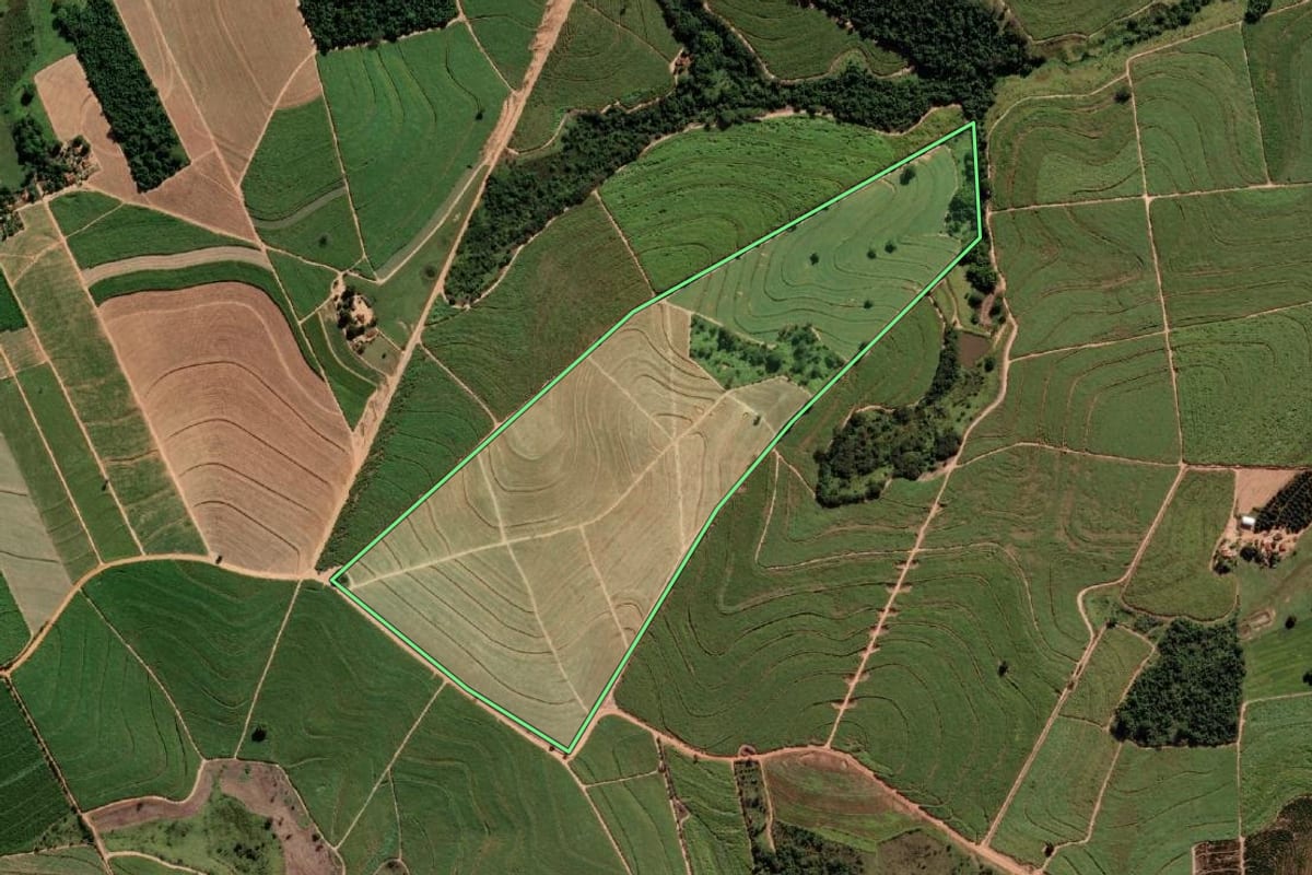 Imagem de satélite do imóvel rural em Alto Alegre (SP), com o contorno declarado no CAR desenhado por cima.