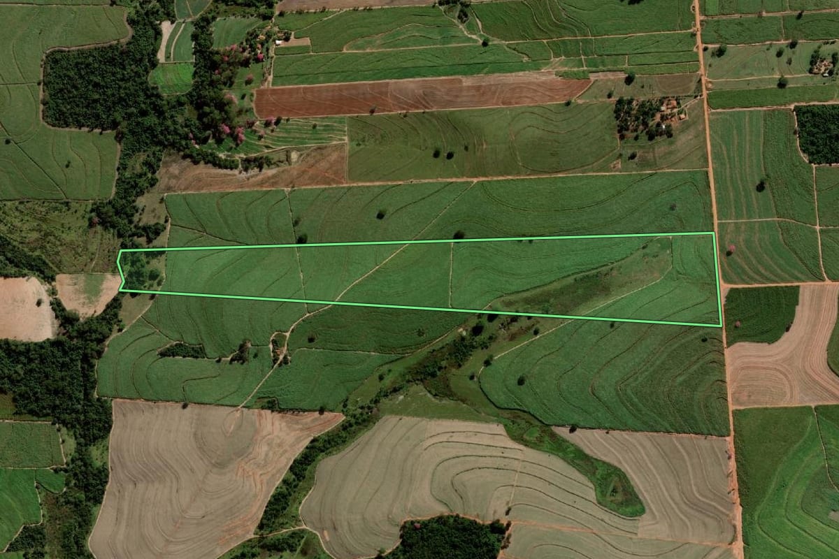 Imagem de satélite do imóvel rural em Alto Alegre (SP), com o contorno declarado no CAR desenhado por cima.