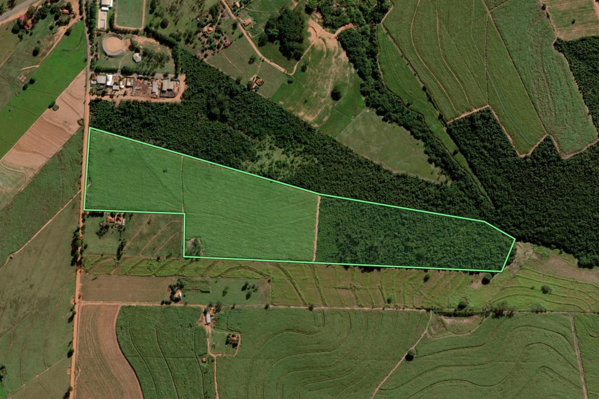 Imagem de satélite do imóvel rural em Alto Alegre (SP), com o contorno declarado no CAR desenhado por cima.