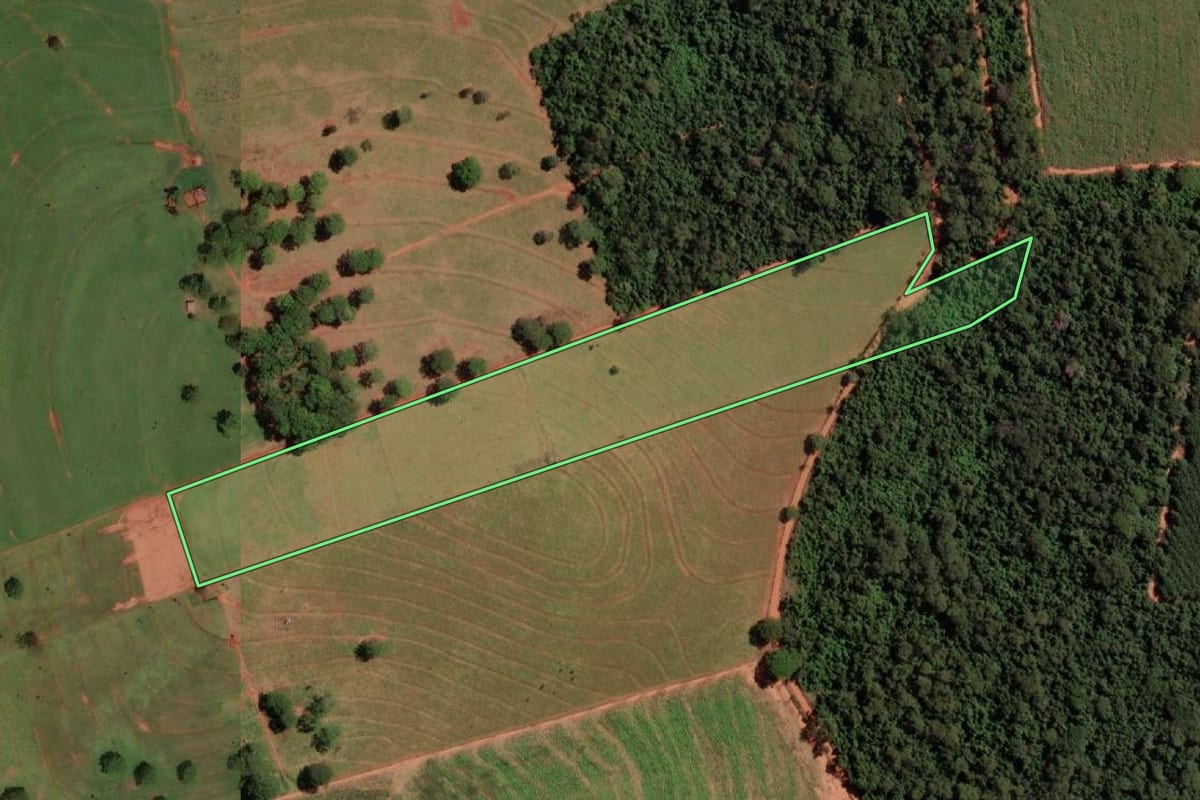 Imagem de satélite do imóvel rural em Álvares Florence (SP), com o contorno declarado no CAR desenhado por cima.