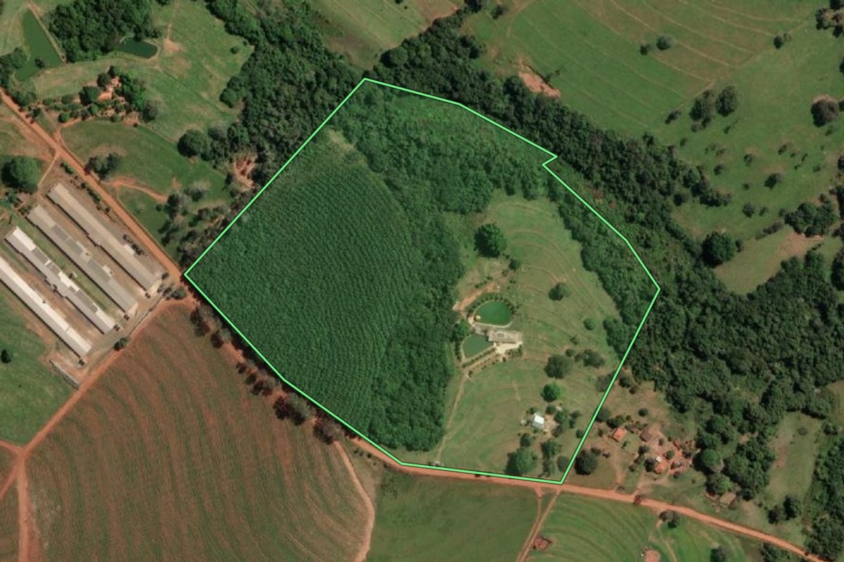 Imagem de satélite do imóvel rural em Álvares Florence (SP), com o contorno declarado no CAR desenhado por cima.