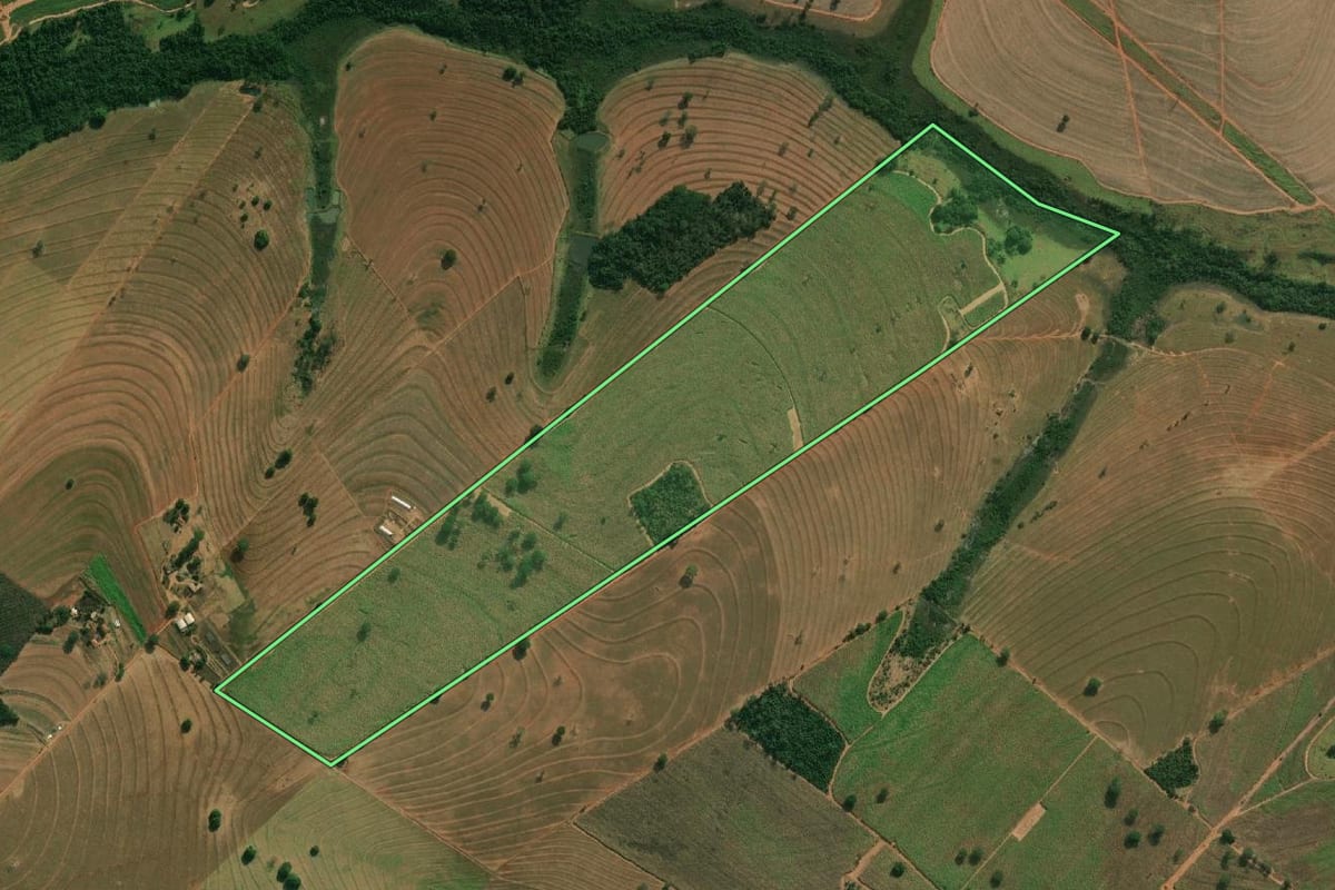 Imagem de satélite do imóvel rural em Álvares Florence (SP), com o contorno declarado no CAR desenhado por cima.