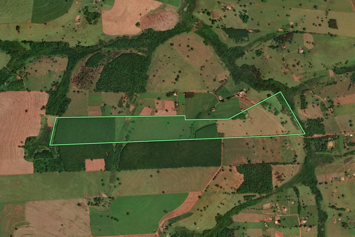 Imagem de satélite do imóvel rural em Álvares Florence (SP), com o contorno declarado no CAR desenhado por cima.