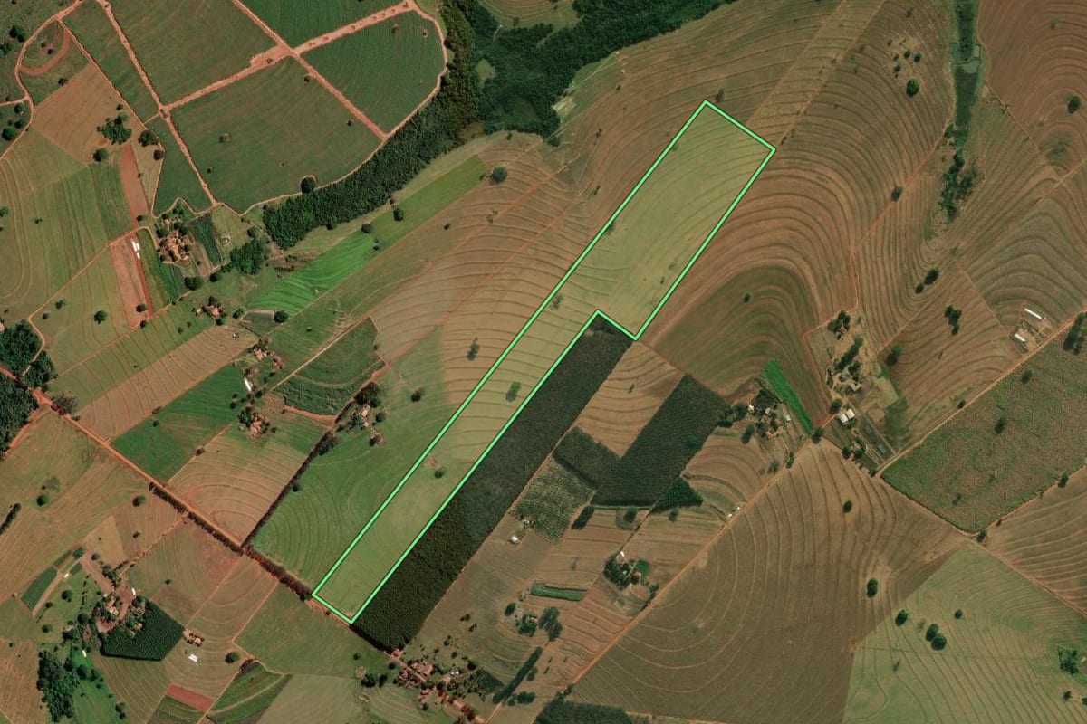 Imagem de satélite do imóvel rural em Álvares Florence (SP), com o contorno declarado no CAR desenhado por cima.