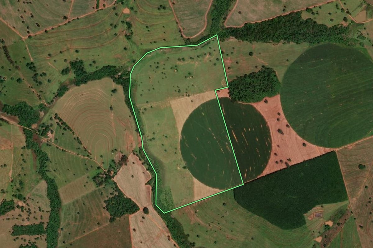 Imagem de satélite do imóvel rural em Álvares Florence (SP), com o contorno declarado no CAR desenhado por cima.