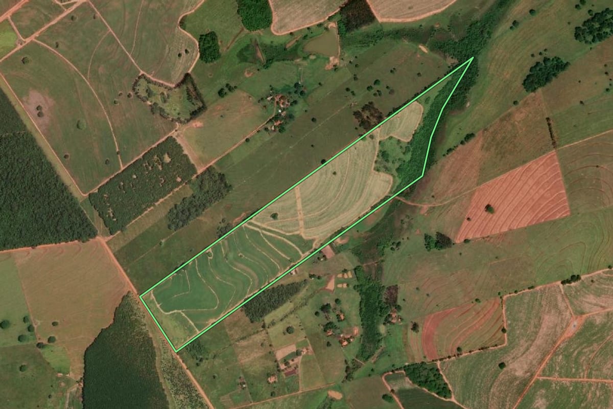 Imagem de satélite do imóvel rural em Álvares Florence (SP), com o contorno declarado no CAR desenhado por cima.