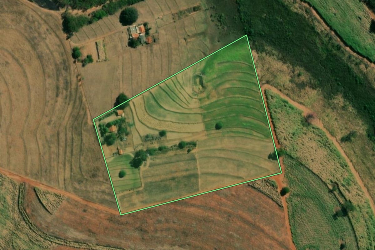 Imagem de satélite do imóvel rural em Álvares Florence (SP), com o contorno declarado no CAR desenhado por cima.