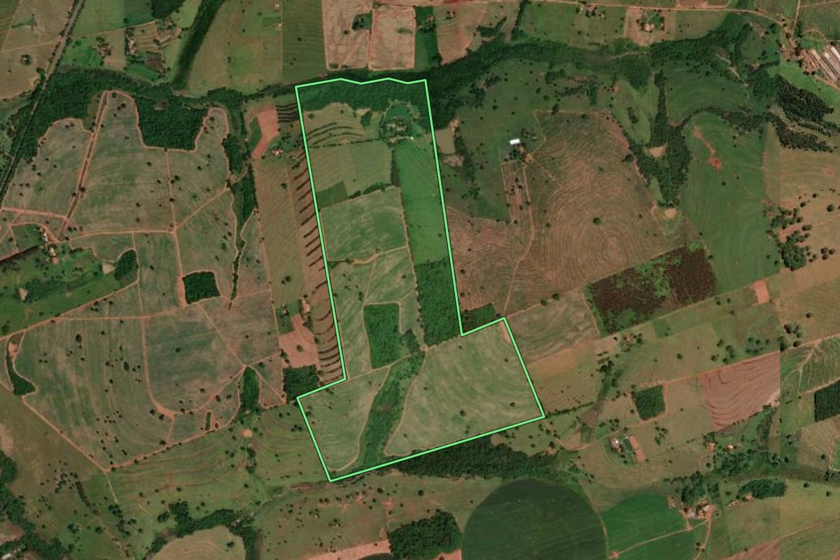 Imagem de satélite do imóvel rural em Álvares Florence (SP), com o contorno declarado no CAR desenhado por cima.