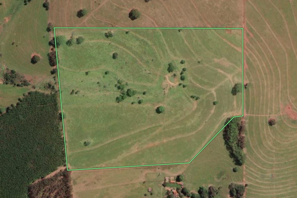 Imagem de satélite do imóvel rural em Álvares Florence (SP), com o contorno declarado no CAR desenhado por cima.