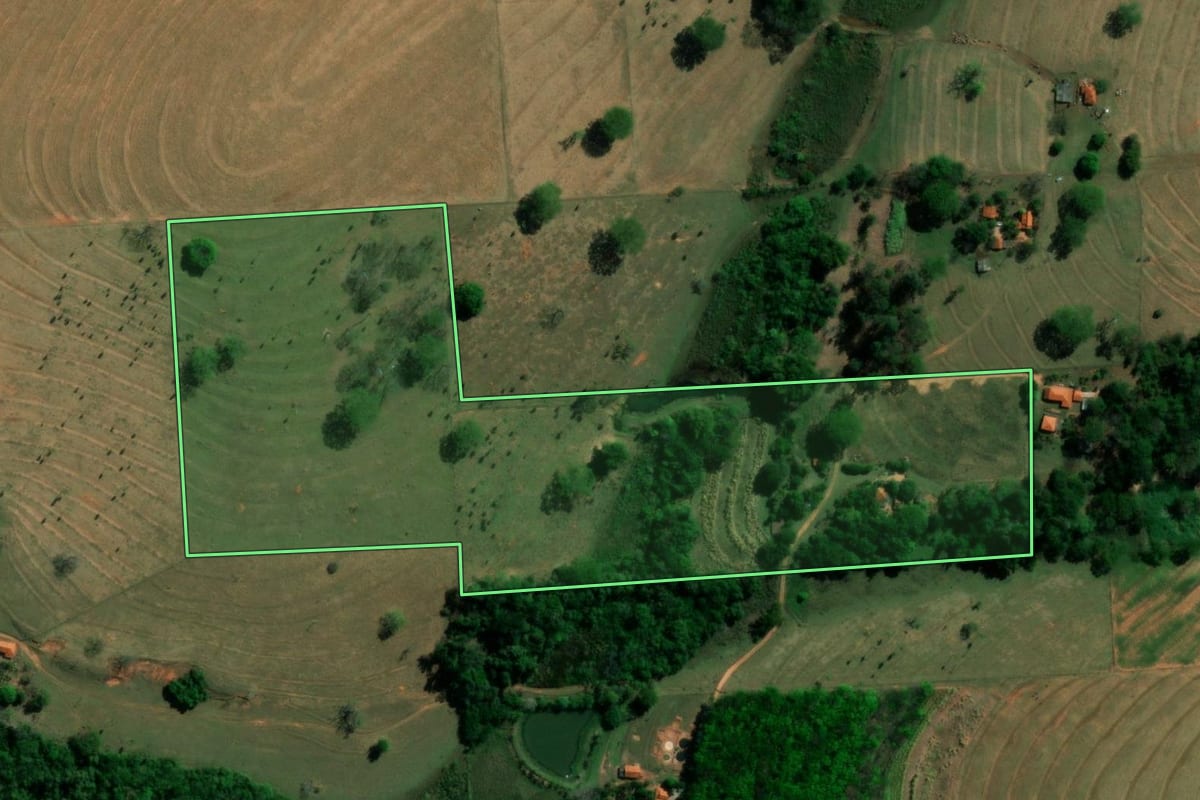 Imagem de satélite do imóvel rural em Álvares Florence (SP), com o contorno declarado no CAR desenhado por cima.