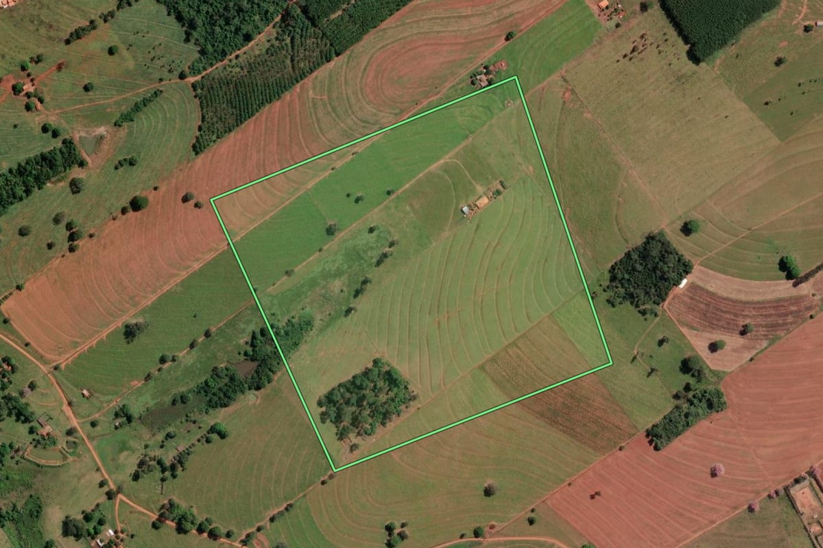 Imagem de satélite do imóvel rural em Álvares Florence (SP), com o contorno declarado no CAR desenhado por cima.