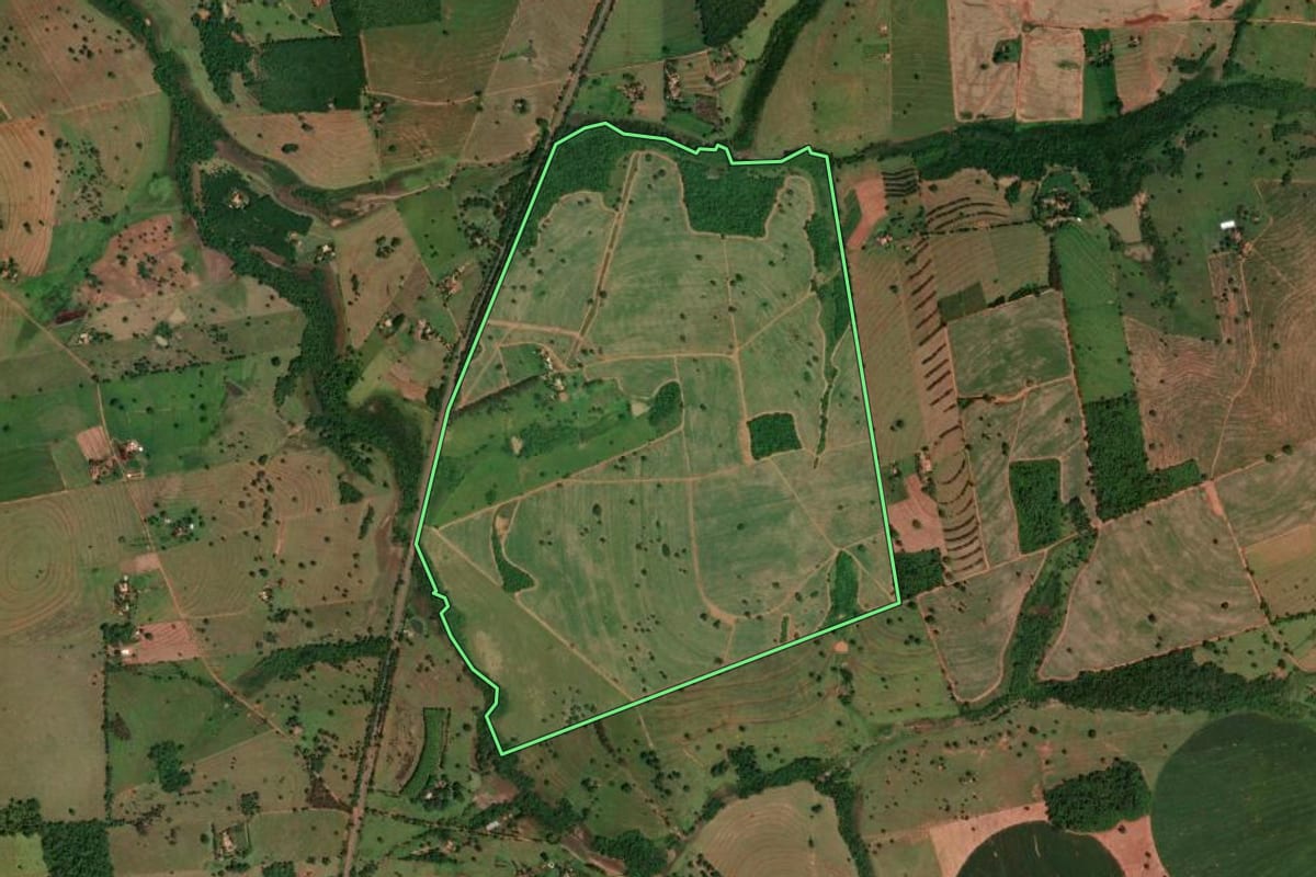 Imagem de satélite do imóvel rural em Álvares Florence (SP), com o contorno declarado no CAR desenhado por cima.