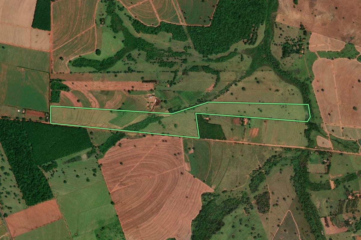 Imagem de satélite do imóvel rural em Álvares Florence (SP), com o contorno declarado no CAR desenhado por cima.