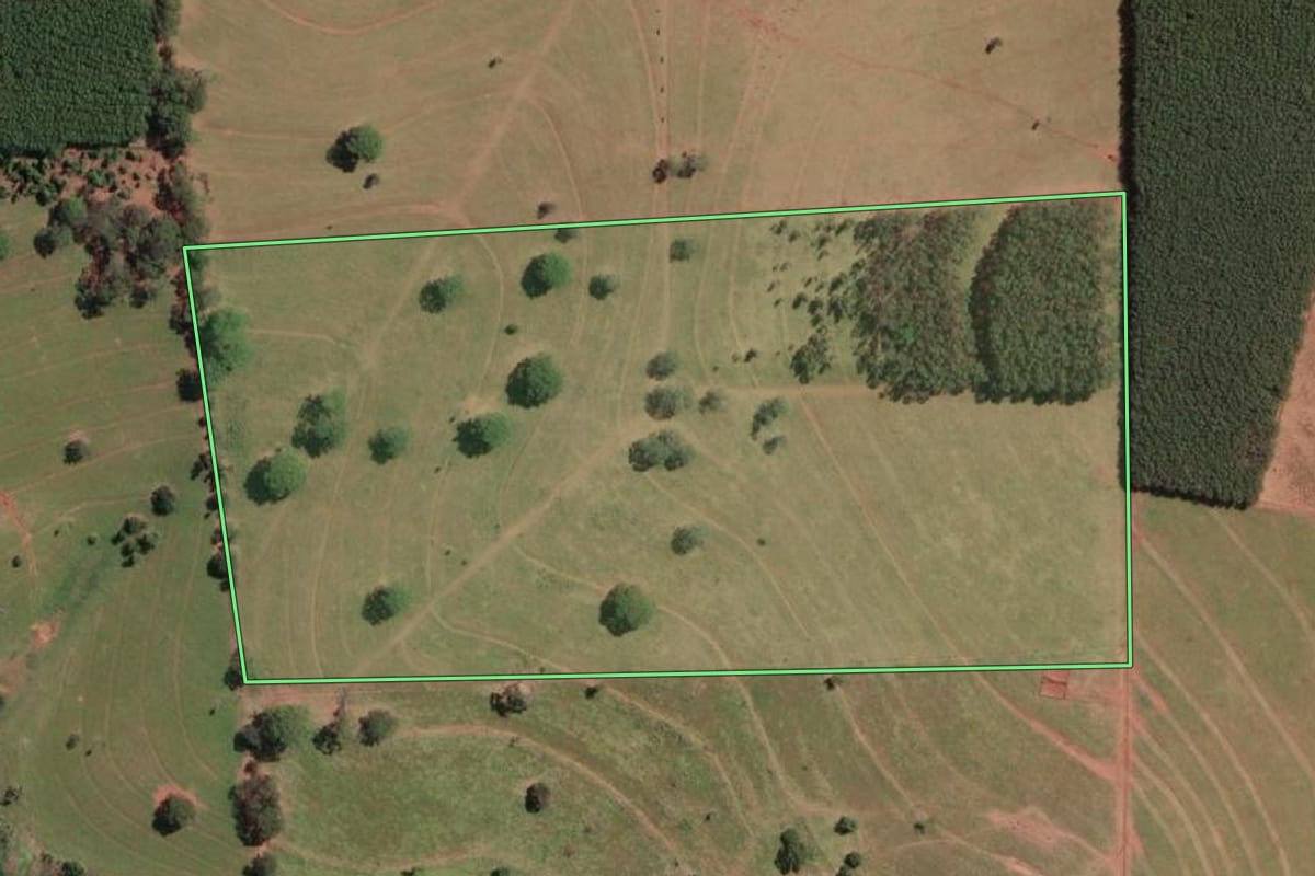 Imagem de satélite do imóvel rural em Álvares Florence (SP), com o contorno declarado no CAR desenhado por cima.