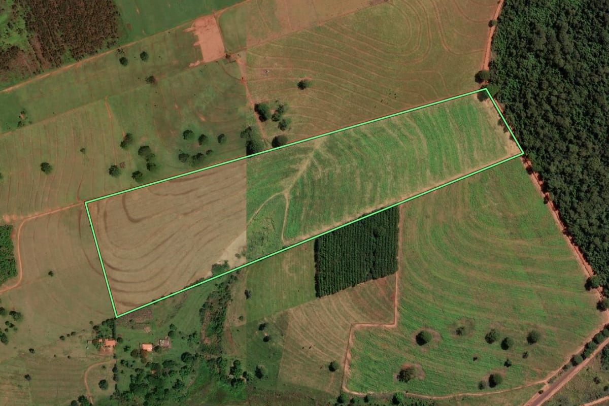 Imagem de satélite do imóvel rural em Álvares Florence (SP), com o contorno declarado no CAR desenhado por cima.