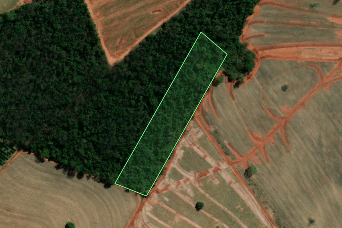 Imagem de satélite do imóvel rural em Álvares Florence (SP), com o contorno declarado no CAR desenhado por cima.