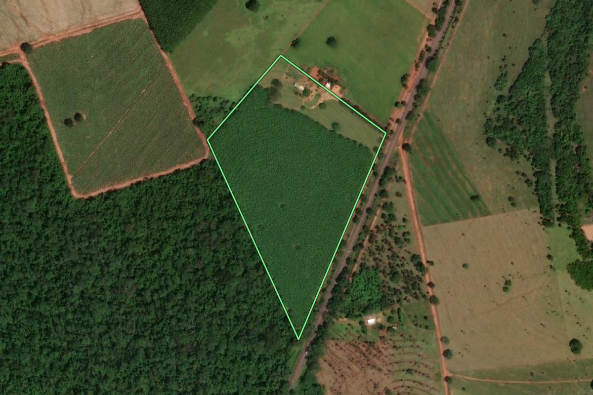 Imagem de satélite do imóvel rural em Álvares Florence (SP), com o contorno declarado no CAR desenhado por cima.