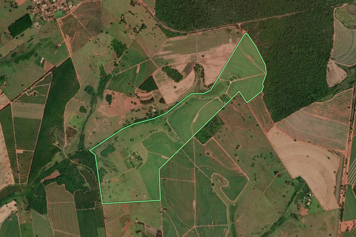 Imagem de satélite do imóvel rural em Álvares Florence (SP), com o contorno declarado no CAR desenhado por cima.