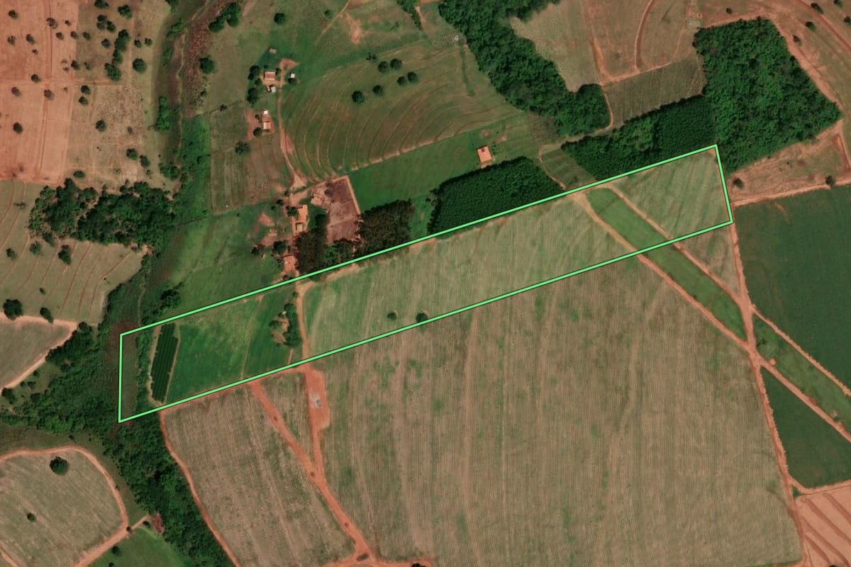 Imagem de satélite do imóvel rural em Álvares Florence (SP), com o contorno declarado no CAR desenhado por cima.