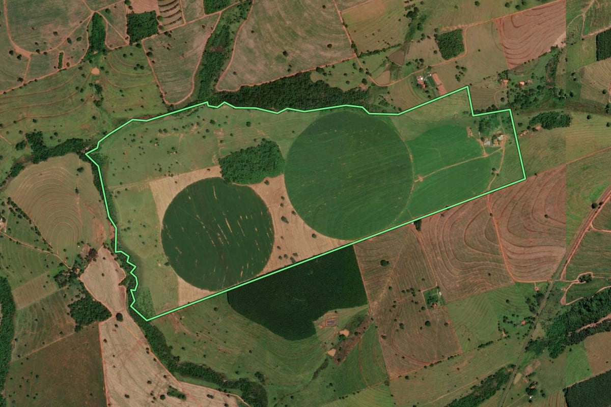 Imagem de satélite do imóvel rural em Álvares Florence (SP), com o contorno declarado no CAR desenhado por cima.