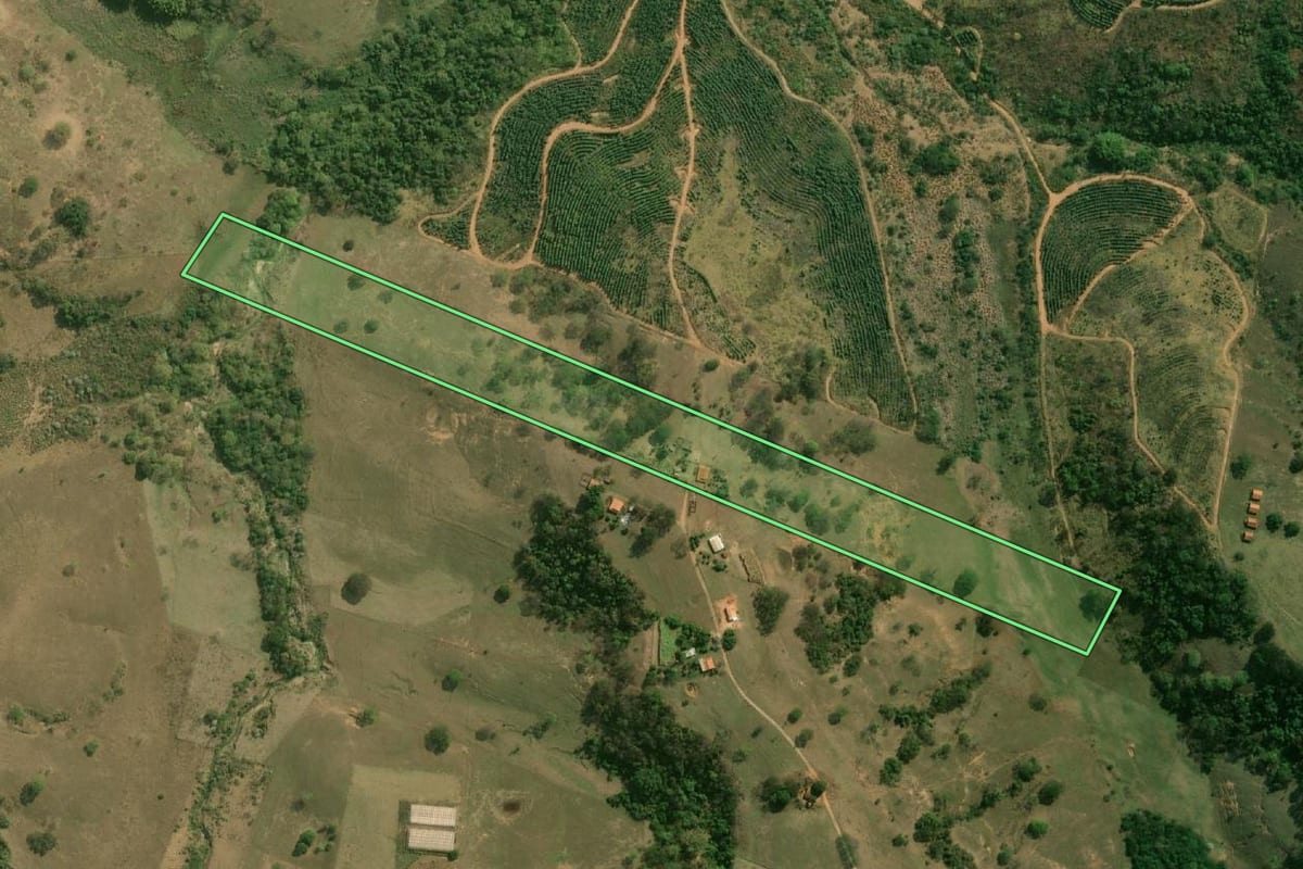 Imagem de satélite do imóvel rural em Álvaro de Carvalho (SP), com o contorno declarado no CAR desenhado por cima.