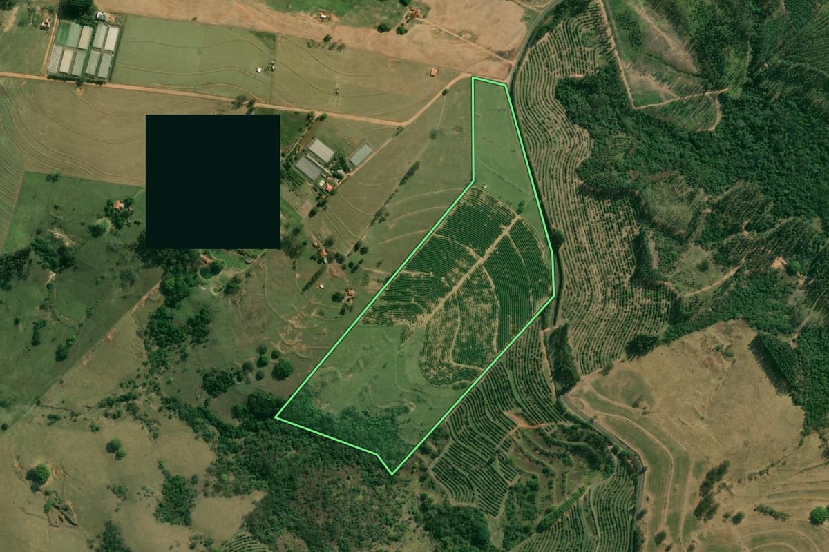 Imagem de satélite do imóvel rural em Alvinlândia (SP), com o contorno declarado no CAR desenhado por cima.