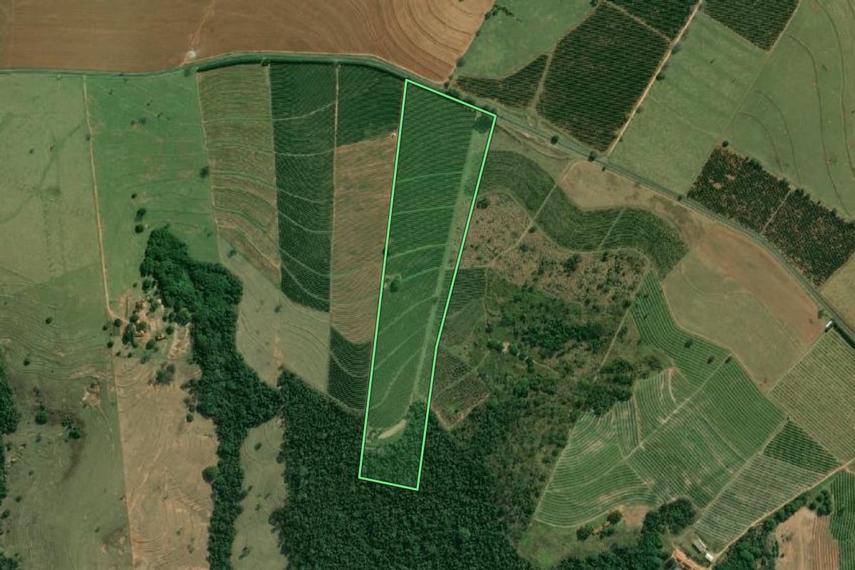 Imagem de satélite do imóvel rural em Alvinlândia (SP), com o contorno declarado no CAR desenhado por cima.