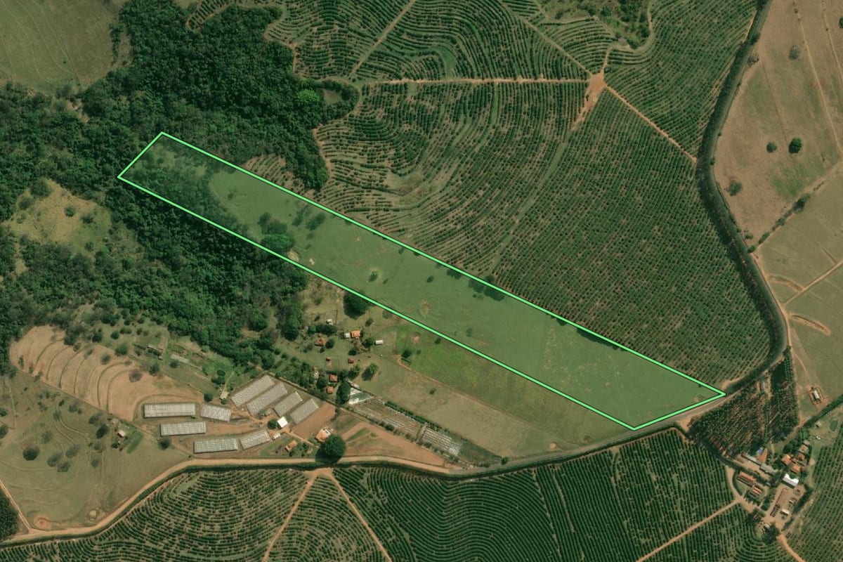 Imagem de satélite do imóvel rural em Alvinlândia (SP), com o contorno declarado no CAR desenhado por cima.